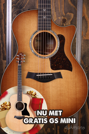 Taylor 514ce Urban Ironbark