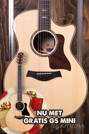 Taylor 814ce LTD Adirondack