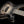 PRS Private Stock 30th Anniversary “BIRDS OF A FEATHER” Hollowbody