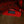PRS Tekton T Bloodstone Red.