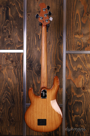 Music Man Stingray 4 Special Hot Honey