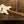 Fender Limited Edition Player II Stratocaster Roasted Maple Olympic White