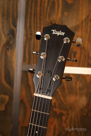 Taylor 414ce Studio Natural