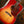 Gibson Custom Hummingbird Original Vintage Cherry Sunburst Light Aged Murphy Lab