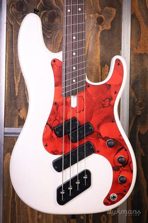 Dingwall SP1 Ducati Pearl White