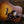 Gibson Hummingbird Special Satin Honey Burst