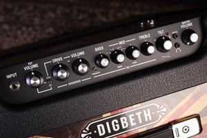 Laney Digbeth Foundry DBF100