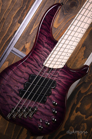 Dingwall Combustion 5-3 Ultra Violet