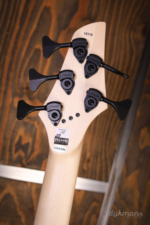 Dingwall NG2 Nolly 5 Black Forrest Green