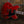 Gibson ES-345 Sixties Cherry