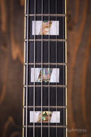 Ibanez PM100 PRE-OWNED!