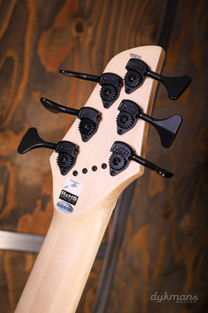 Dingwall NG3 "Nolly" Signature 6 LTD Midnight Purple Flake