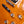 Gibson Slash Les Paul Standard Appetite Burst
