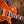 Gibson Slash Les Paul Standard Appetite Burst