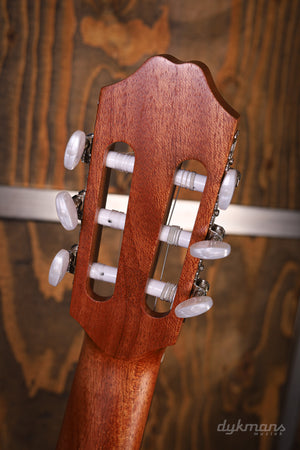 Kremona Camellia 4/4