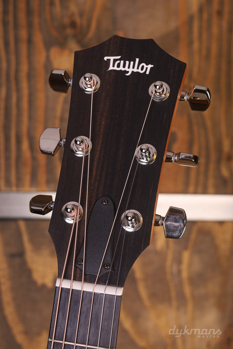 Taylor 212ce Walnut