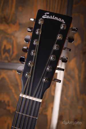Eastman E1D-12-DLX 12-String