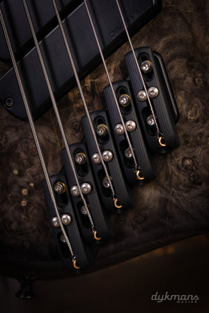 Dingwall Custom Shop Z3X-5 Buckeye Burl Natural to Black Burst