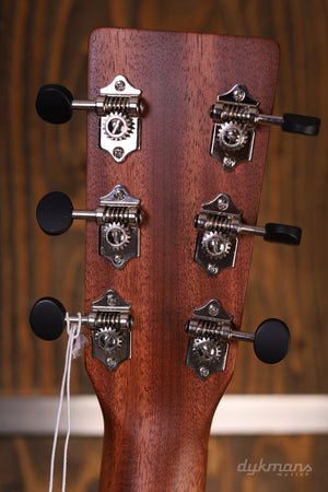 Martin D-10E Retro Sapele