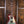 Epiphone Les Paul Standard Purple Burst
