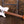 Ibanez LB1-WH Lari Basilio Signature White