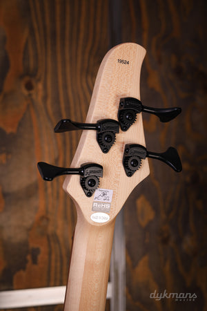 Dingwall D-Roc 4-string Ducati Matte Pearl White