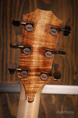 Taylor Custom GA Maple