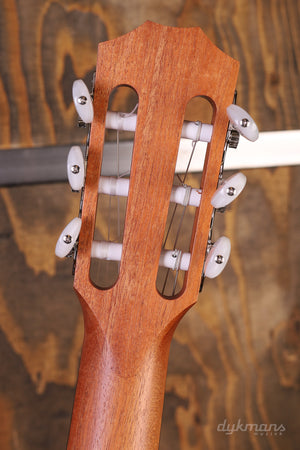 Taylor 212ce-N Plus Indian Rosewood