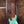 Sire Marcus Miller V5 24 Fret Passive Mild Green