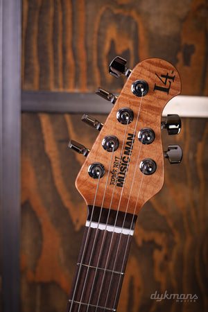 Music Man Luke 4 HH Maple Top Grape Slushie