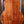 Taylor Gold Label 814th KOA