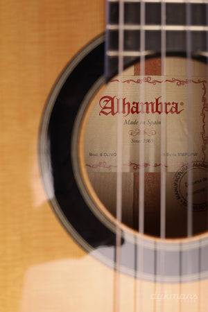 Alhambra 6 Olive Exotic Wood/ Spruce