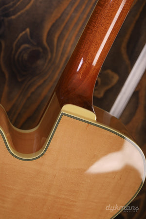 Ibanez PM200 Pat Metheny