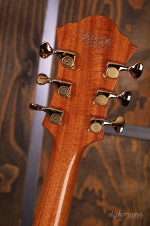 Ibanez PM200 Pat Metheny