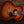 Taylor Gold Label 814th Koa PRE-ORDER