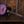 Furch Spectra Plus Gc-ER a Provence Violet