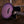 Furch Spectra Plus Gc-ER a Provence Violet