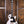 Epiphone Les Paul Custom Alpine White