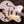 Gretsch G5422TG Electromatic