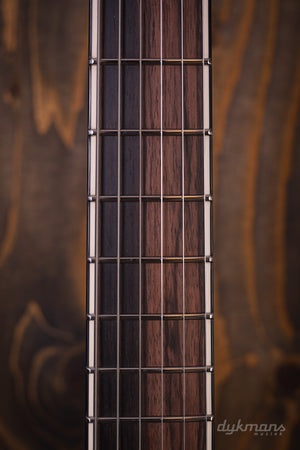Mayones Regius Core V24 6 Trans Aqua Marine Gloss