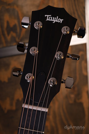 Taylor 414ce Studio Special Edition Honeyburst