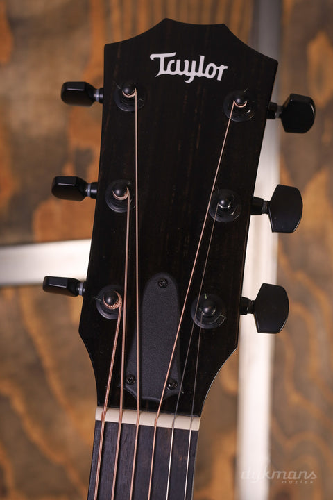 Taylor 214ce-BLK DLX