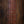 Dingwall D-Rock Matte Gold Limited 5-String