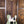 Fender Player II Telecaster Birch Green