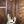 Fender Player II Jazz Bass Birch Green