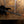 Sterling By Music Man Dark Ray