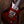 PRS Custom 24 35th Anniversary Fire Red