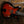 Ibanez ASH300 Artstar TBC