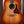 Taylor Gold Label 717e Sunburst