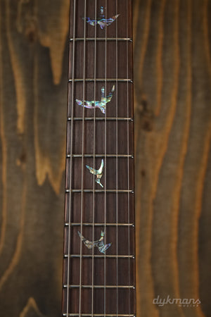 PRS SE Paul's Guitar Teal Black